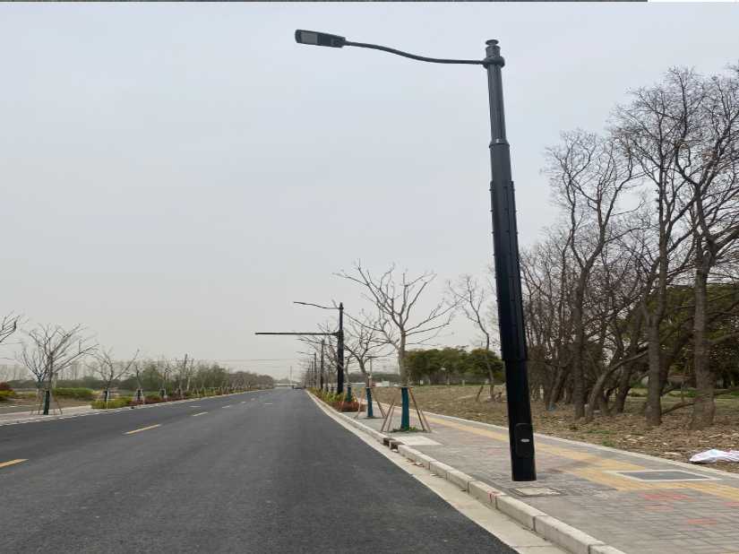 龙州县上海综合杆 太阳能路灯工程